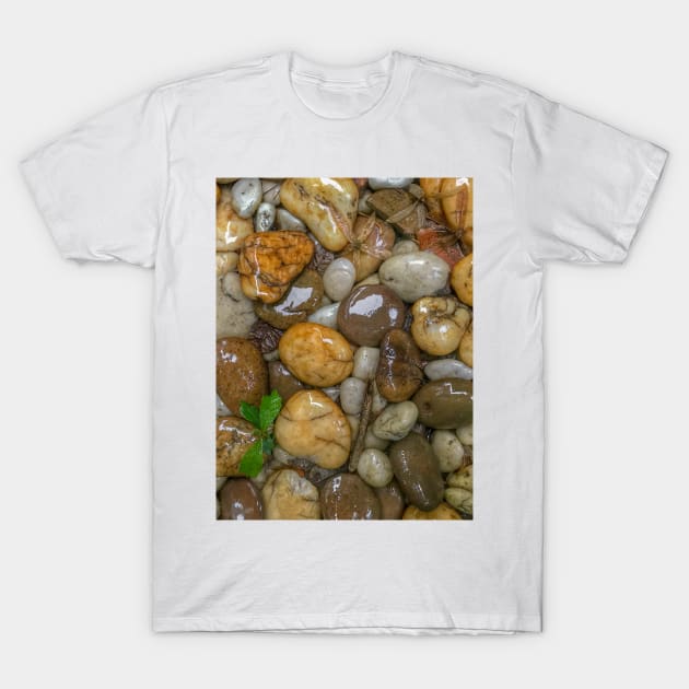 Wet rock background T-Shirt by FOGSJ